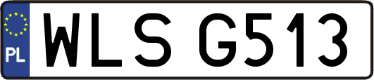 WLSG513