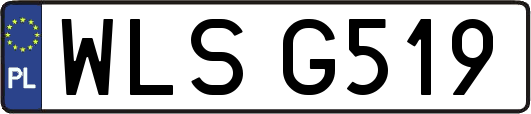 WLSG519