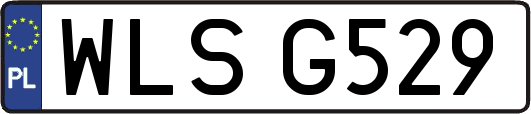 WLSG529