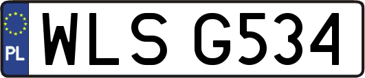 WLSG534