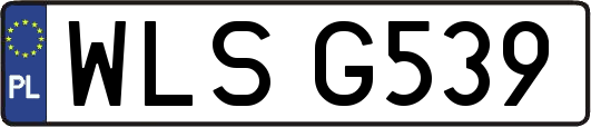 WLSG539