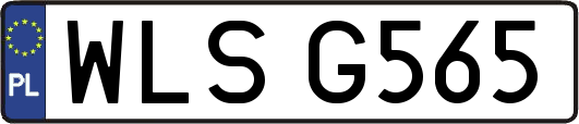 WLSG565