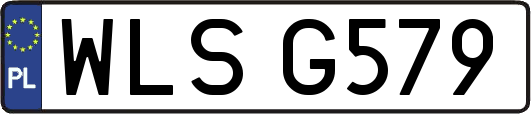 WLSG579
