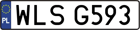 WLSG593
