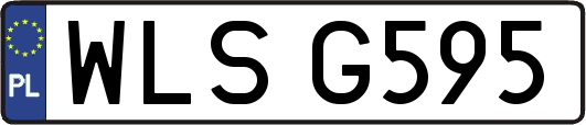 WLSG595