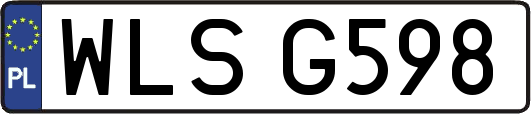 WLSG598
