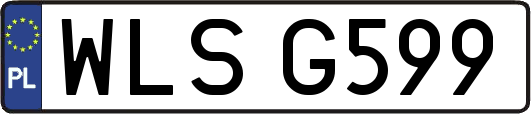 WLSG599