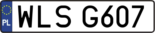 WLSG607