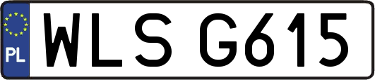 WLSG615