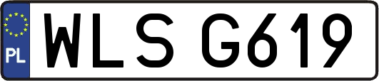 WLSG619