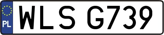 WLSG739