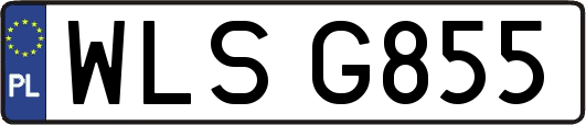 WLSG855