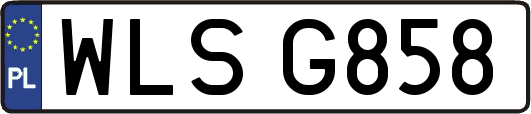 WLSG858