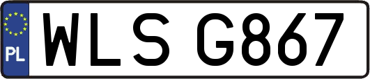 WLSG867