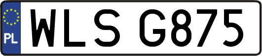 WLSG875