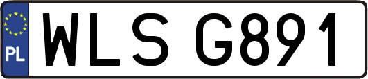 WLSG891