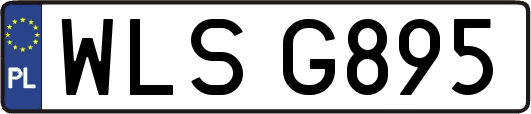 WLSG895