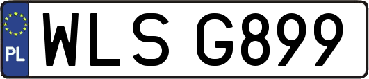 WLSG899