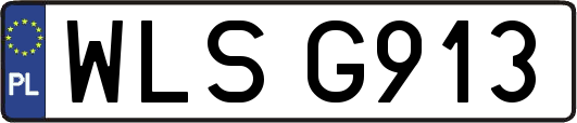 WLSG913