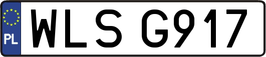 WLSG917