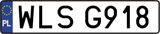 WLSG918