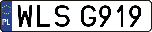 WLSG919