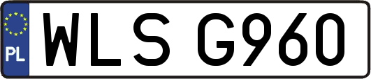 WLSG960