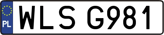 WLSG981