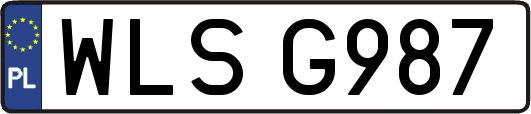 WLSG987