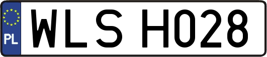 WLSH028