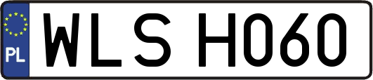 WLSH060