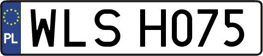 WLSH075