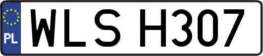 WLSH307