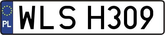 WLSH309
