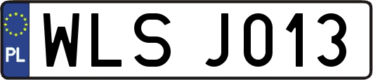 WLSJ013