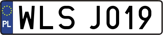 WLSJ019