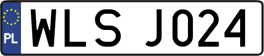 WLSJ024