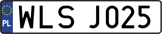 WLSJ025