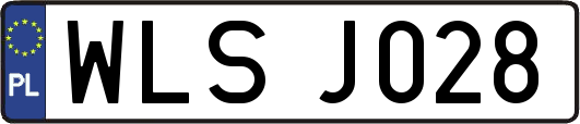 WLSJ028