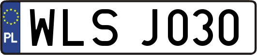 WLSJ030