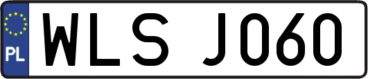 WLSJ060