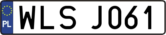 WLSJ061