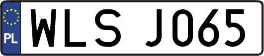 WLSJ065