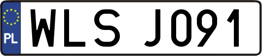 WLSJ091