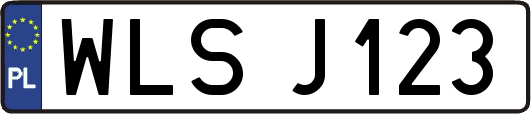 WLSJ123