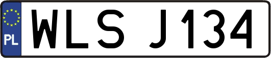 WLSJ134