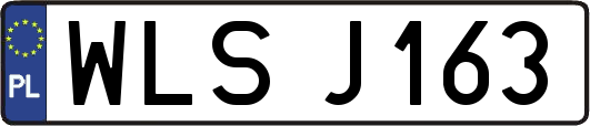 WLSJ163