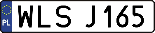 WLSJ165