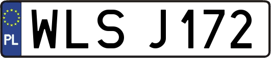 WLSJ172