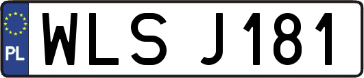 WLSJ181